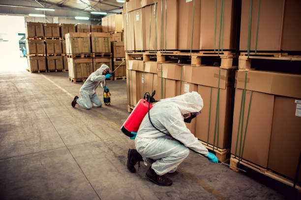 Reliable Prichard, AL Pest Control Solutions