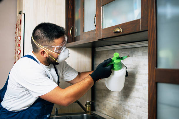 Best Pest Removal Services  in Prichard, AL