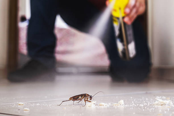 Best Best Pest Control Companies  in Prichard, AL