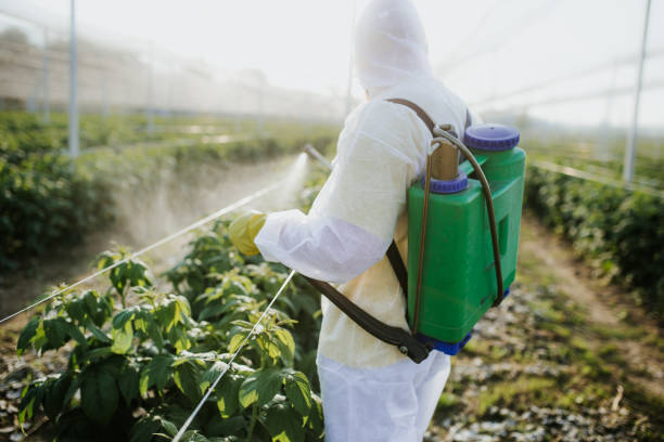Best Emergency Pest Control  in Prichard, AL
